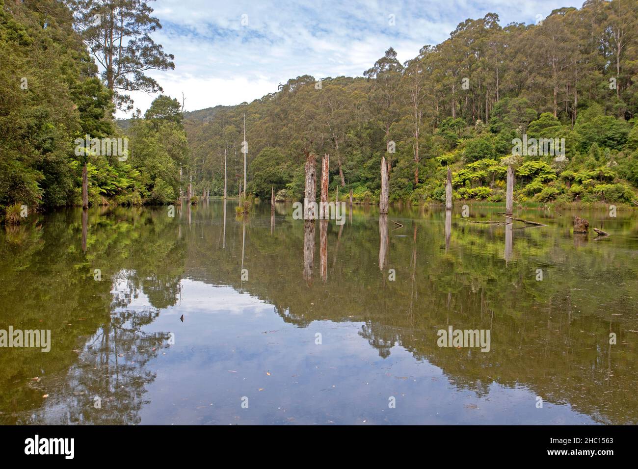 Lake Elizabeth Stockfoto