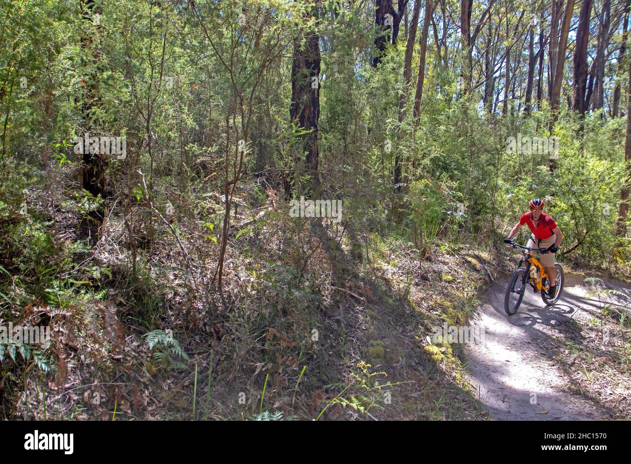 Mountainbiken in Forrest, Victoria Stockfoto