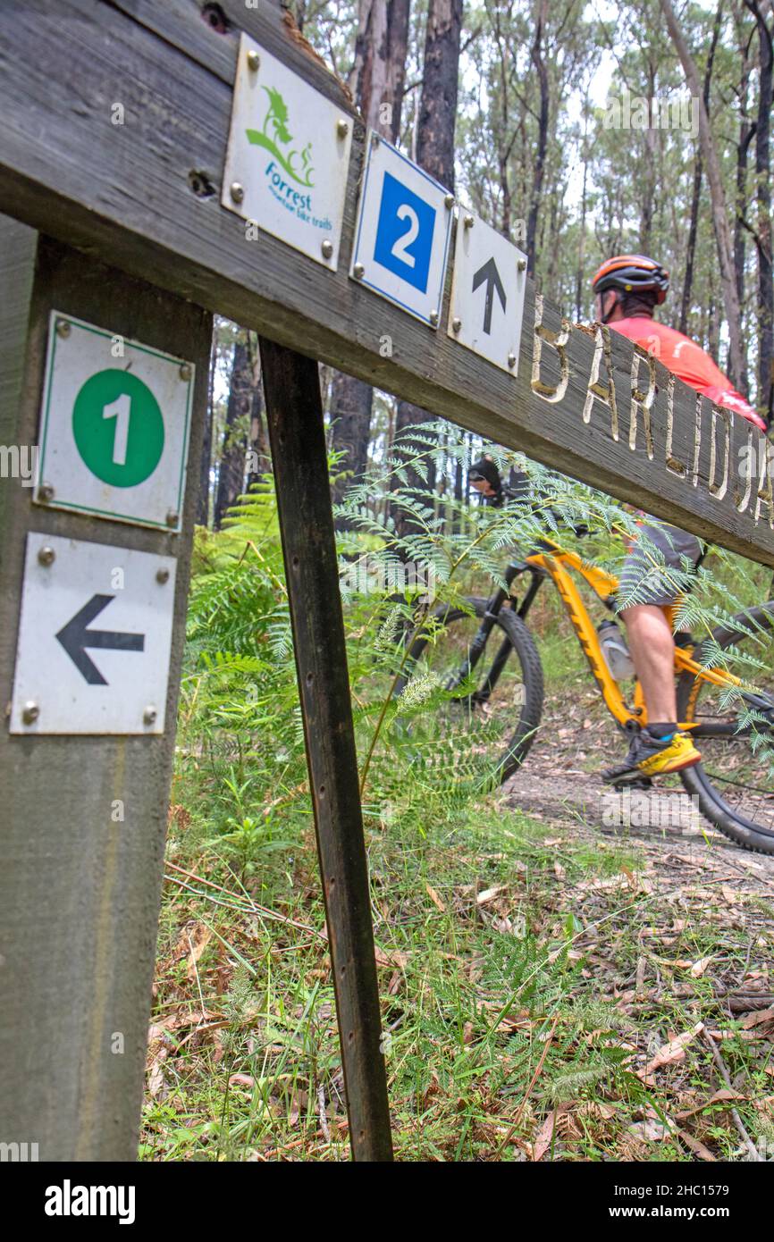 Wegweiser auf dem Mountainbike-Trailnetz von Forrest Stockfoto
