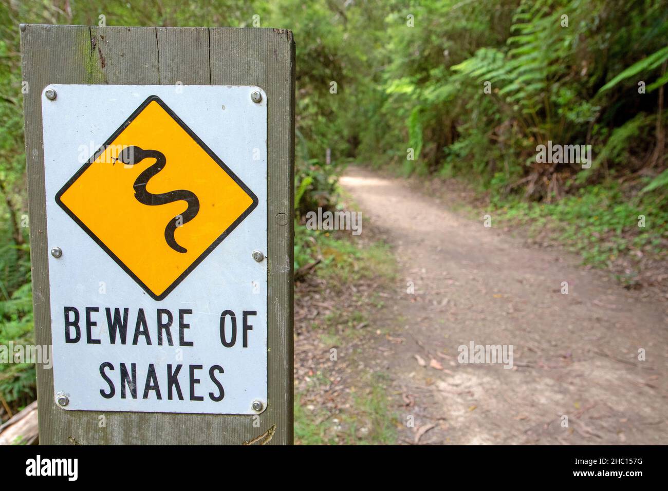 Schlange Warnschild in den Otway Ranges Stockfoto