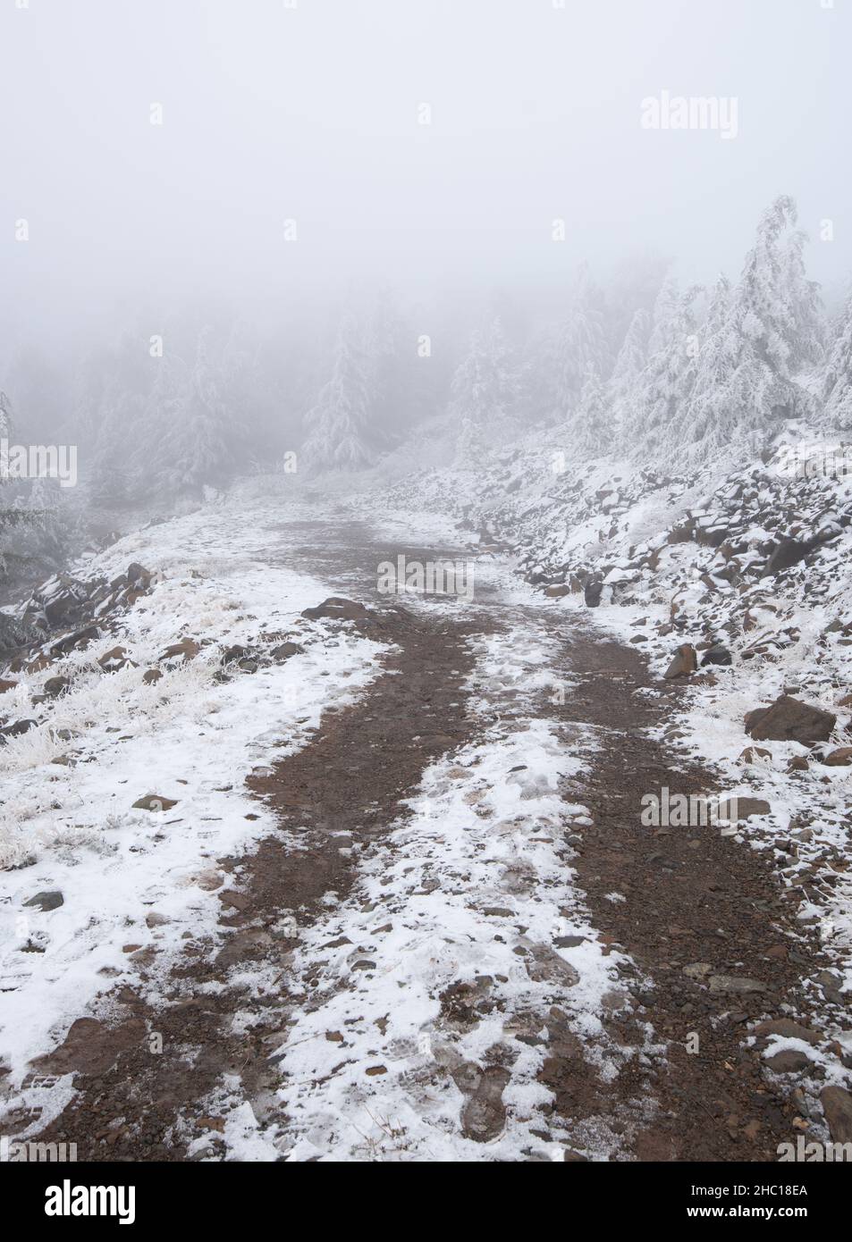 Winterwaldlandschaft mit gefrorenen ländlichen Wanderwegen Stockfoto