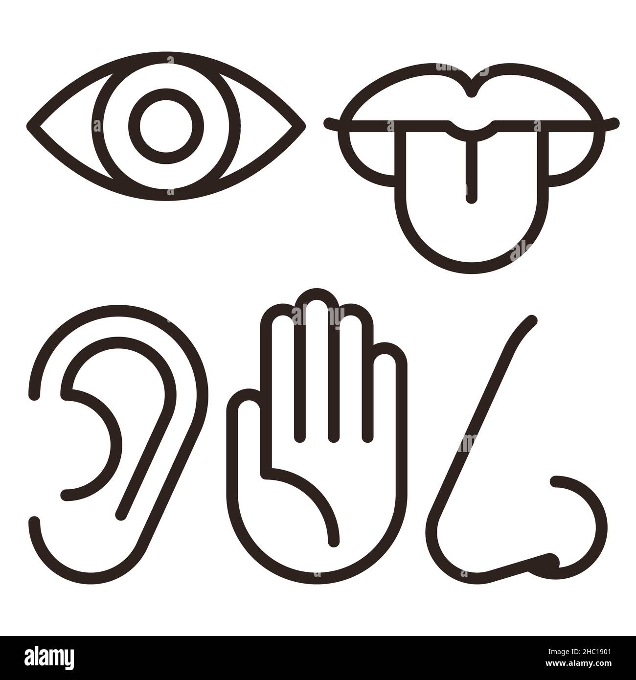 Auge, Ohr, Lippen, Nase und Hand - fünf Sinne des menschlichen Nervensystems. Symbol für Sinnesorgane isoliert auf weißem Hintergrund gesetzt Stockfoto