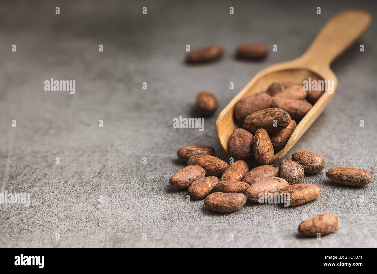 Getrocknete Kakaobohnen. Kakaobohnen in Holzlöffel. Stockfoto