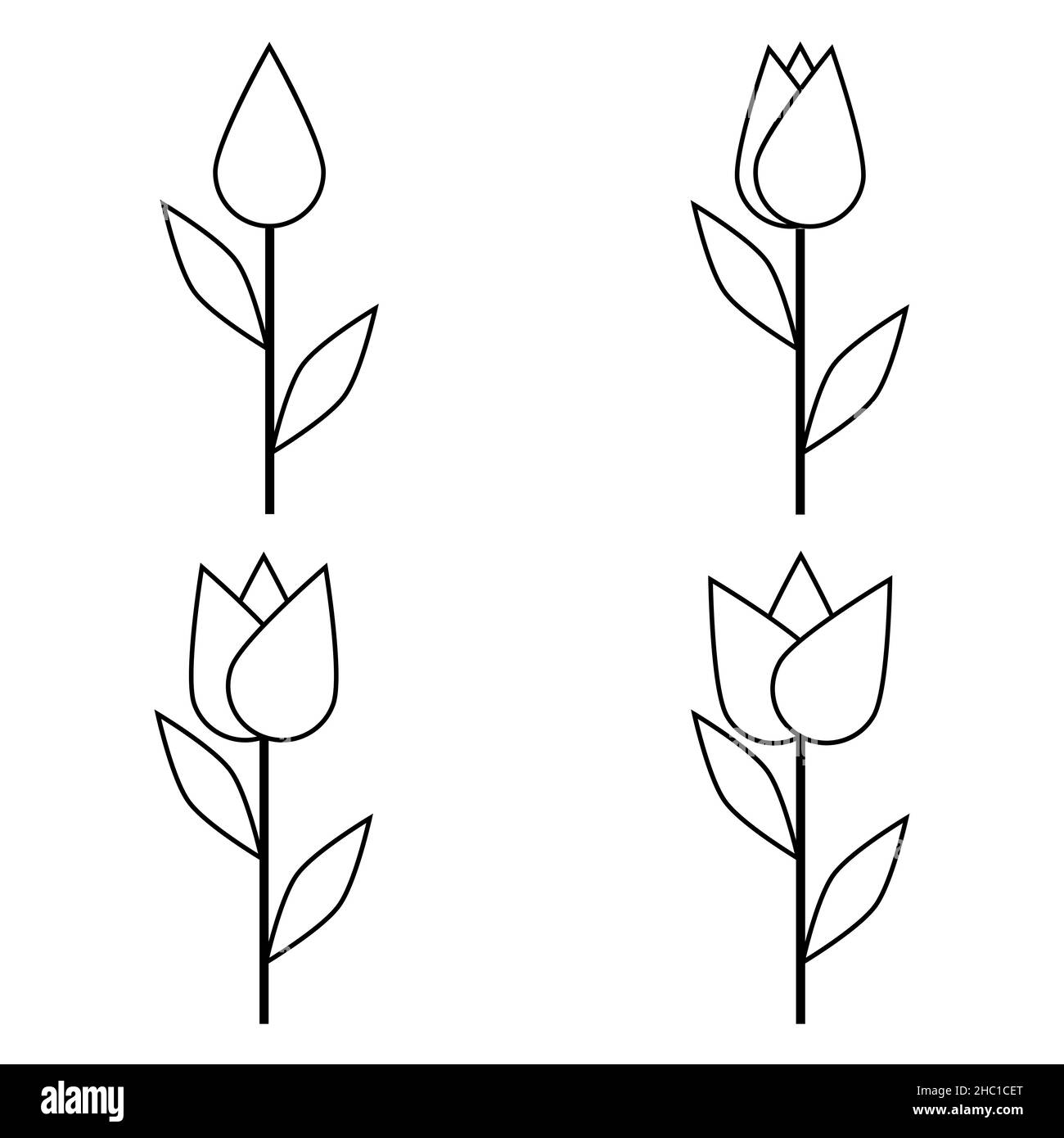 Bild Einfache blühende Blütenknospe mit Stiel und Blättern Stockillustration Stock Vektor