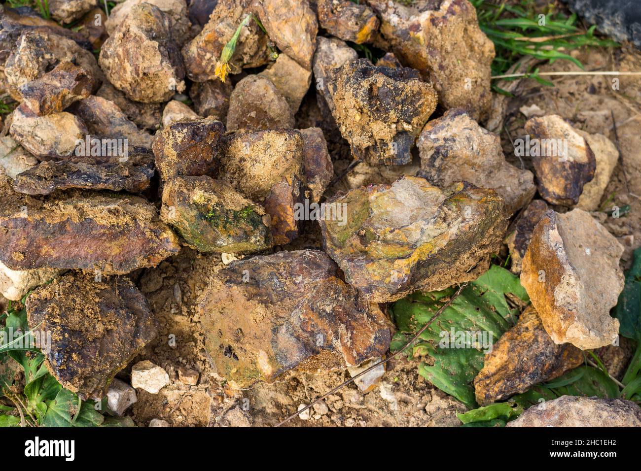 Eisenerz in Form von Klumpen braunen Eisenerzes (Limonit-Hämatit) in der Natur Stockfoto
