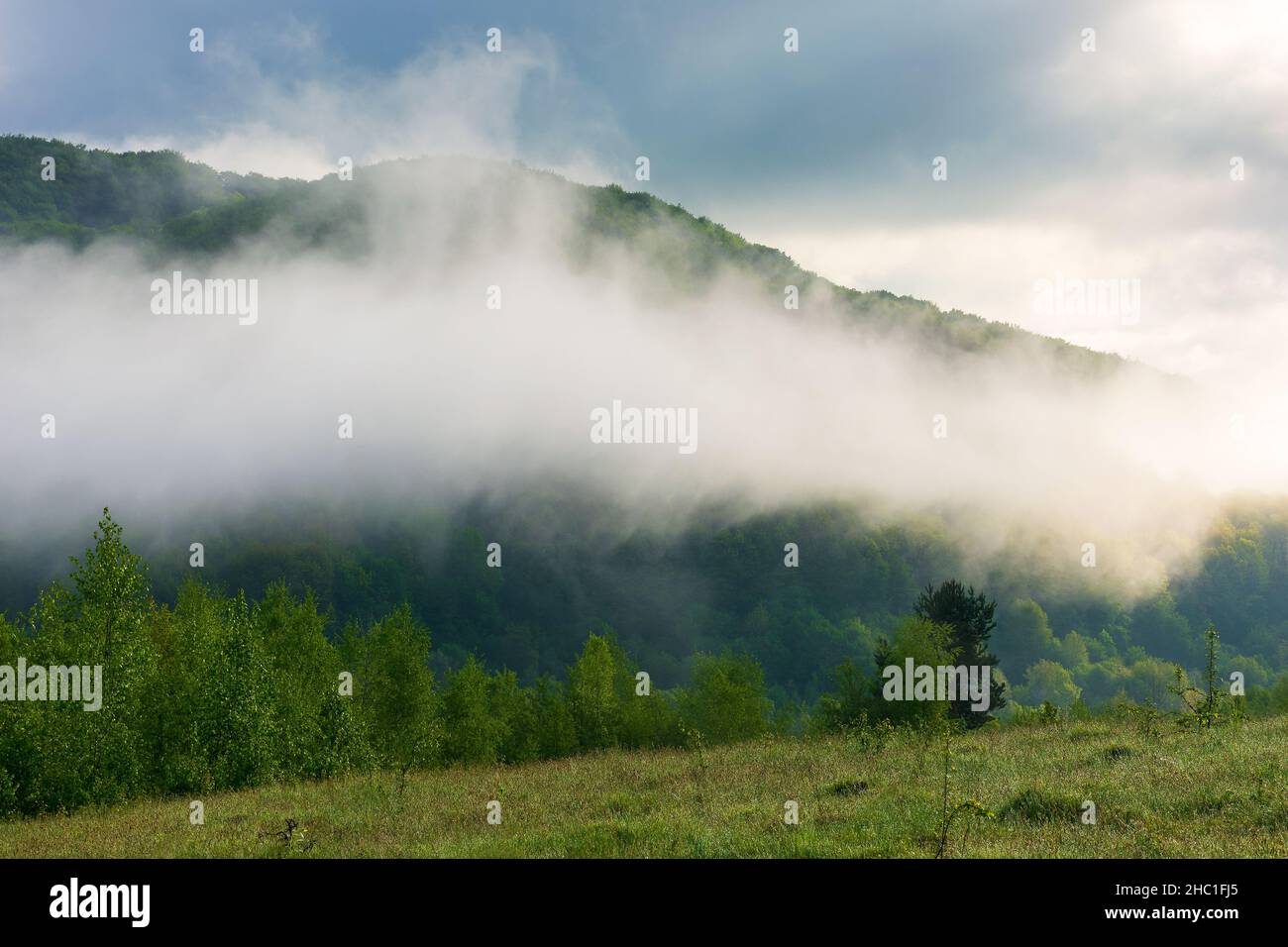 Bergige Landschaft an einem nebligen Morgen. Outdoor grüne Umgebung im Frühjahr. Wald auf dem Hügel in Nebel und Wolken. Schöne Landschaft von Stockfoto