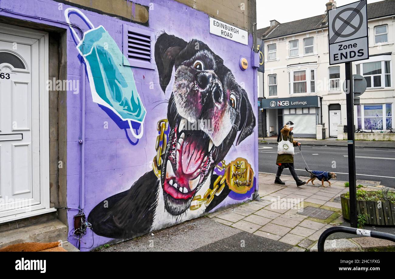 Brighton UK 23rd December 2021 - Ein Hundespaziergänger kommt an einem milden bewölkten Tag an einem der berühmten Hundegemälde in Brighton's Lewes Road vorbei : Credit Simon Dack / Alamy Live News Stockfoto
