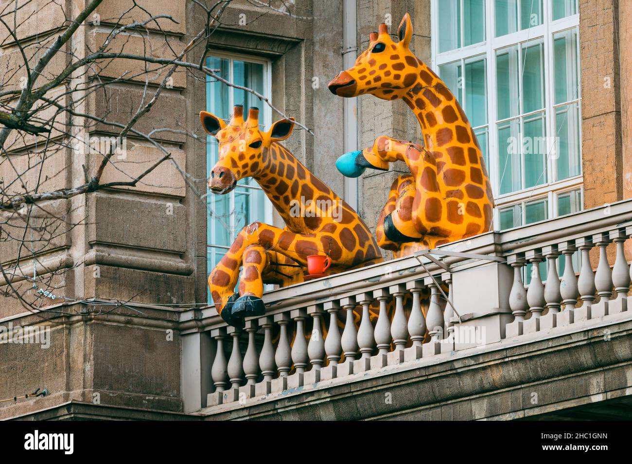 Helsinki, Finnland. Amüsante Installation Als Giraffe Teetrinken Auf Dem Balkon Des Naturhistorischen Museums Von Helsinki Stockfoto