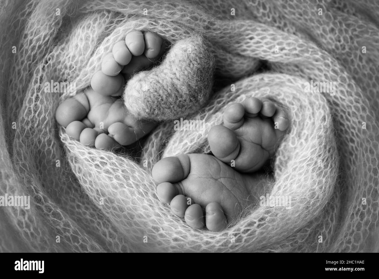 Füße neugeborener Zwillinge zwei Paar Babyfüße in einer Strickdecke, gestricktes Herz Stockfoto