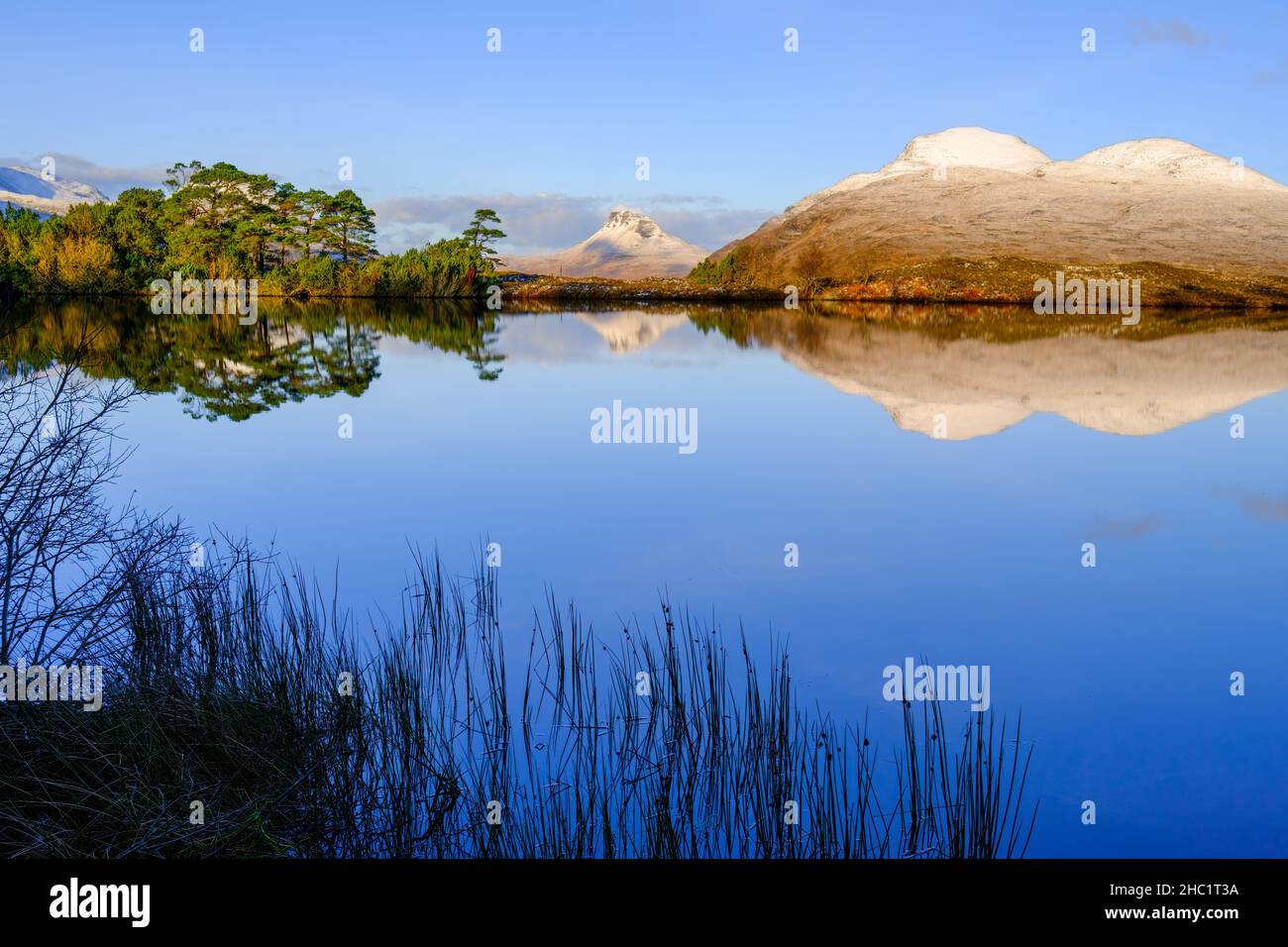 Stac Pollaidh spiegelte sich in einem unbenannten Lokan in Inverpolly im Nordwesten der schottischen Highlands wider. Stockfoto