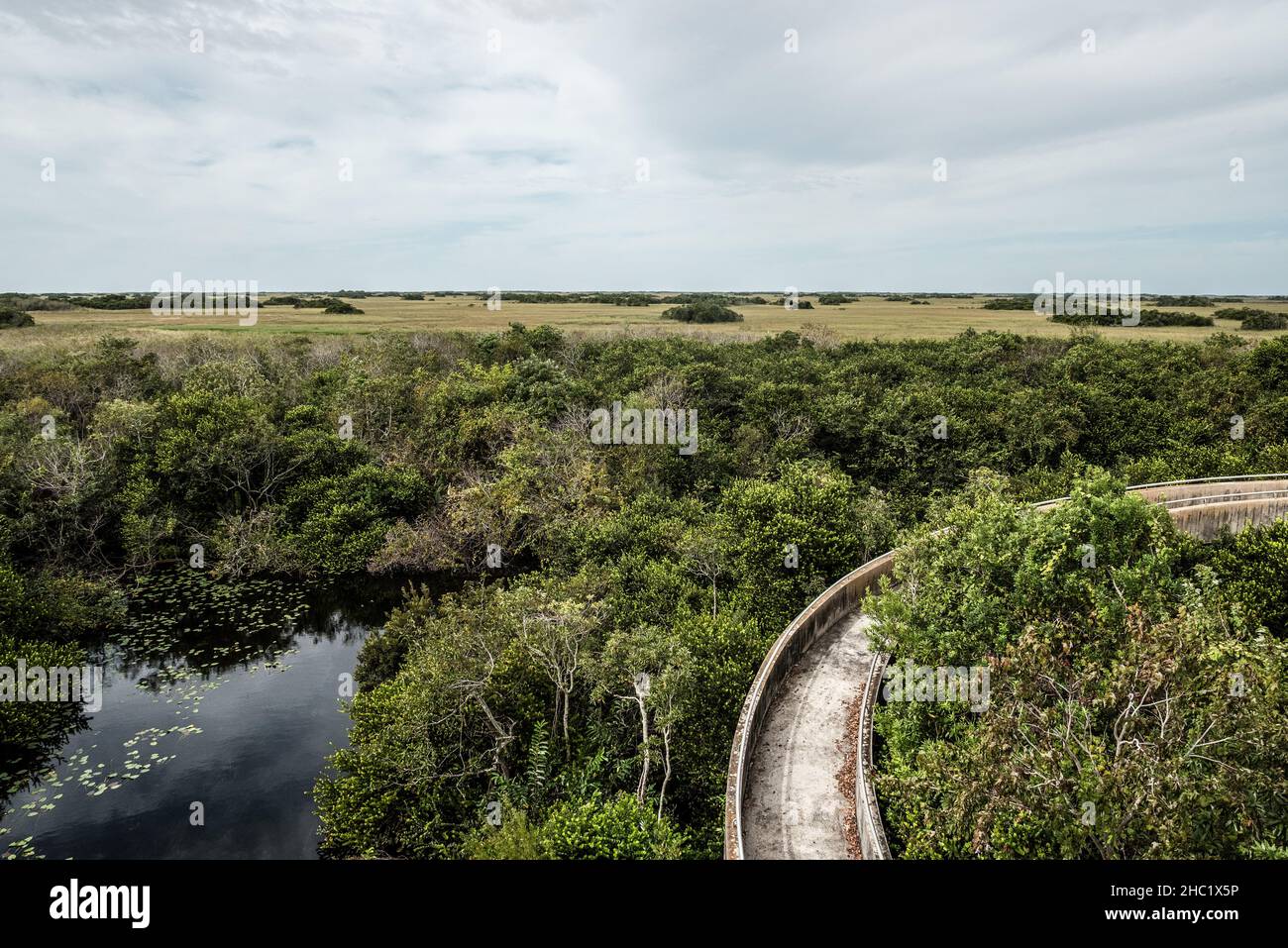 Blick von den Everglades, von der Spitze des Aussichtsturms im Shark Valley in Florida, USA Stockfoto