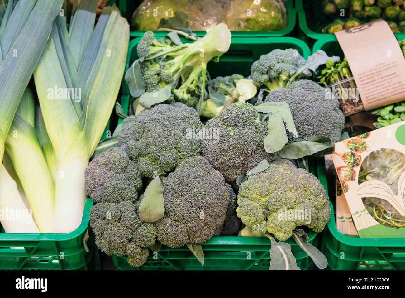 Brokkoli und anderes grünes Gemüse in einem Hofladen. Gemüsetheke im Laden. Stockfoto