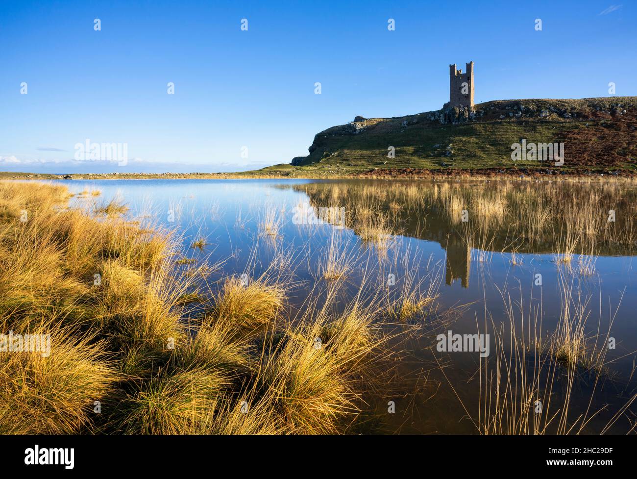 Dunstanburgh Castle Northumberland England spiegelt sich in einem Meerwasserpool wider Embleton Bay Northumberland Coast England GB UK Europe Stockfoto