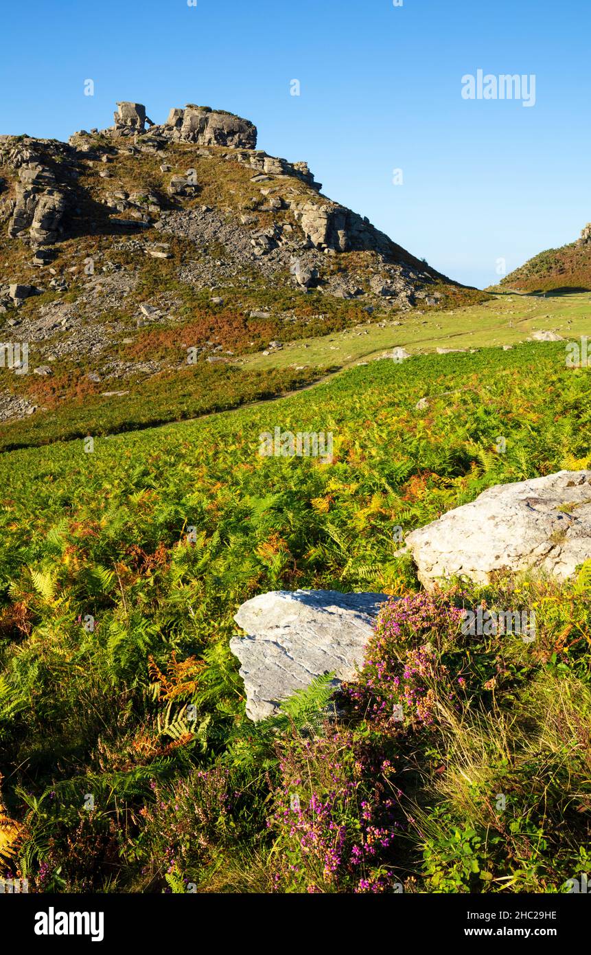 Castle Rock Valley of the Rocks Exmoor National Park in der Nähe von Lynton und Lynmouth Devon England GB Europa Stockfoto