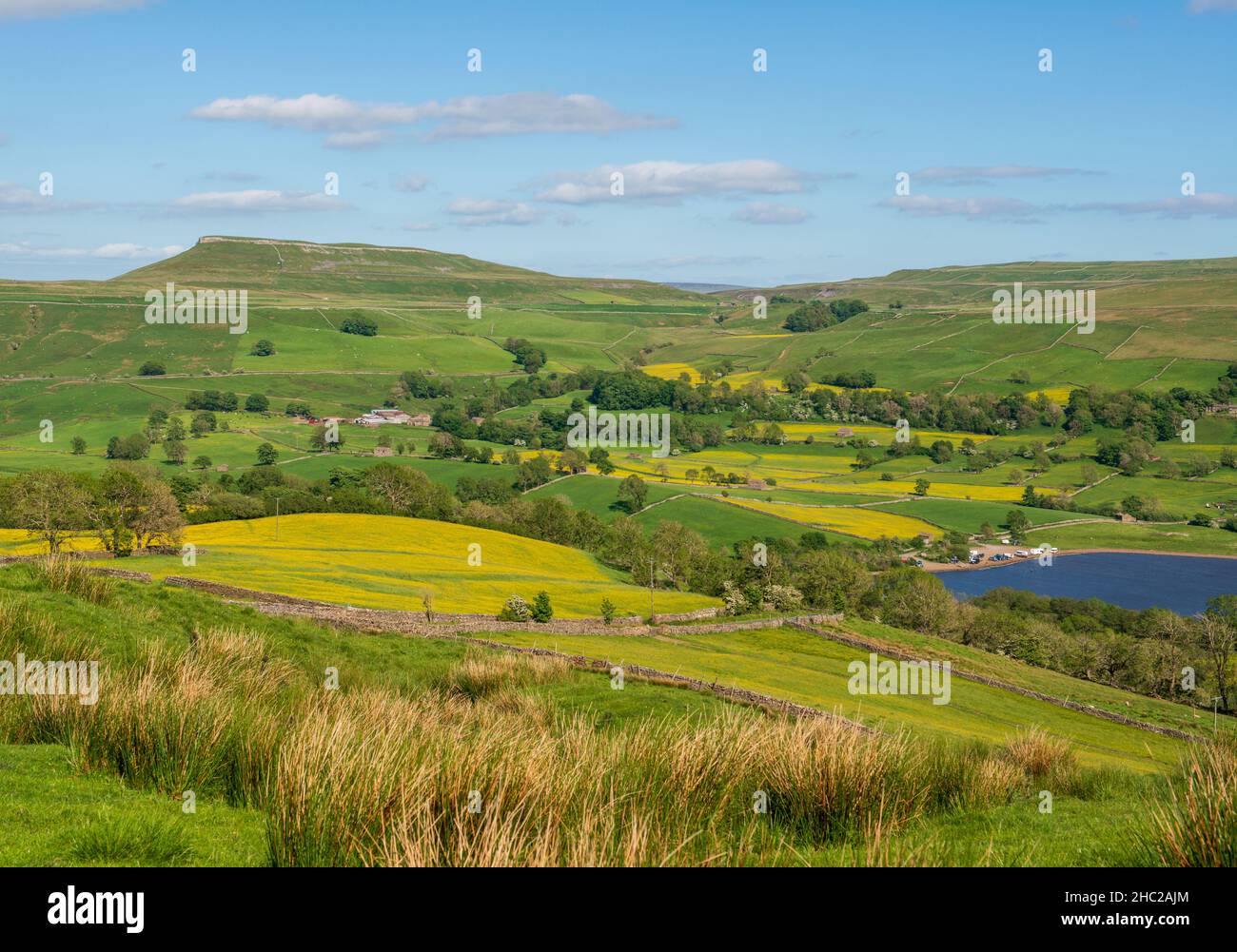 Blick auf die Landschaft über Semer Water und Raydale mit Blick auf Addlebrough Hill im Yorkshire Dales National Park Stockfoto