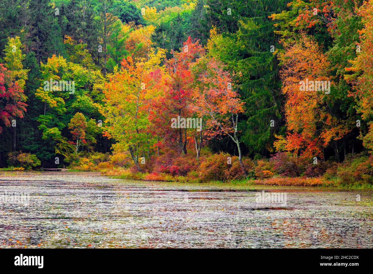 Promised Land Lake im Herbst im Promised Land State Park in den Pocono Mountains in Pennsylvania Stockfoto