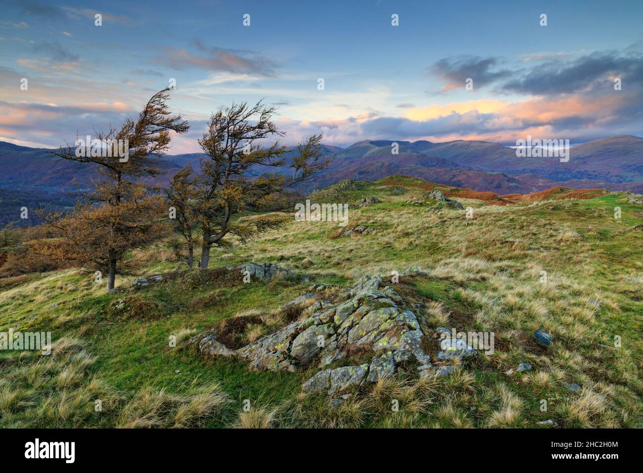 Blick von Black Crag nach Norden in Richtung Helvellyn. Stockfoto