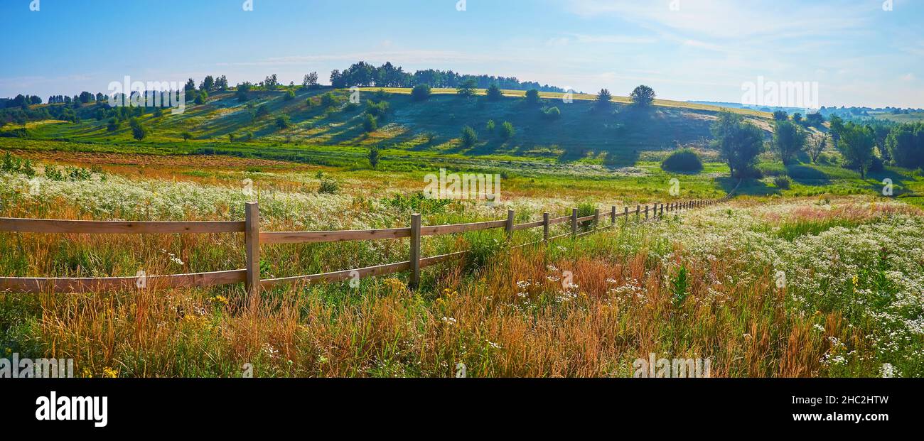 Die bunten Sommerwiesen mit blühenden Wildblumen und hohen Gräsern gegen den hohen grünen Hügel Stockfoto