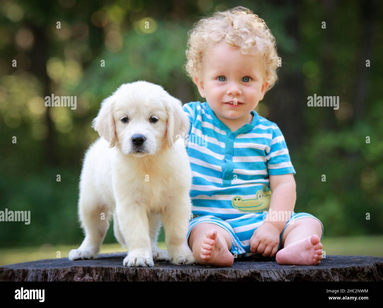 Netter Baby Junge sitzt mit Golden Retriever Puppy Blick auf die Kamera. Freundschaftskonzept Stockfoto
