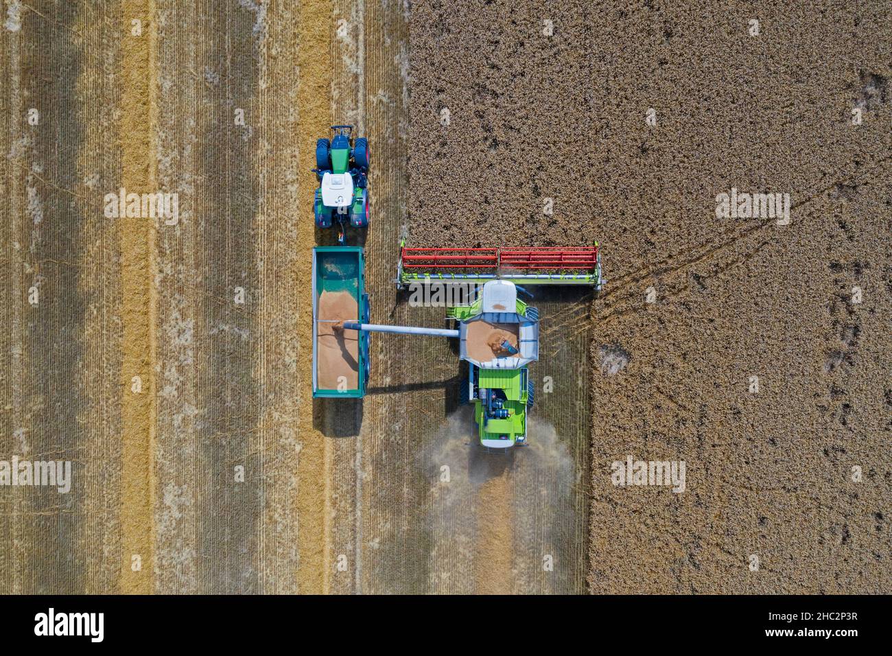 Luftaufnahme von Mähdrescher und Traktor mit Anhänger Ernte Rapsfeld im Sommer Stockfoto