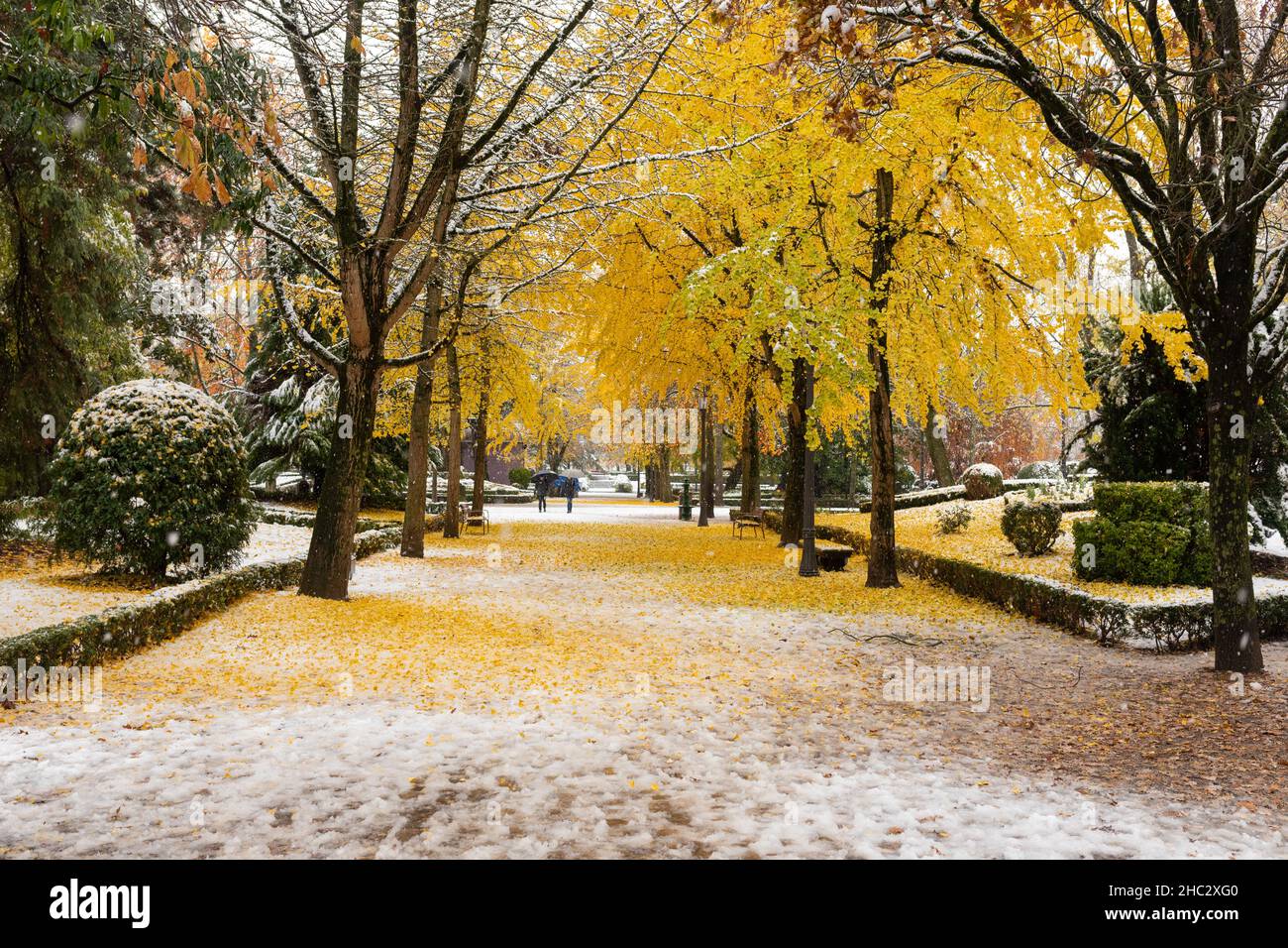Pamplona, Spanien - 28. November 2021 - Menschen mit Sonnenschirmen spazieren durch den verschneiten Park Parque de la Taconera. Stockfoto