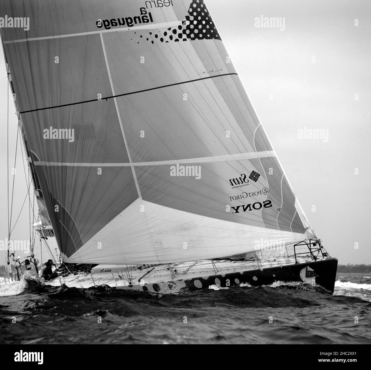 EF Language W60 Rennyacht im Solent auf der letzten Etappe des Whitbread Round the World Race, dem Solent, Hampshire, England, Großbritannien Stockfoto