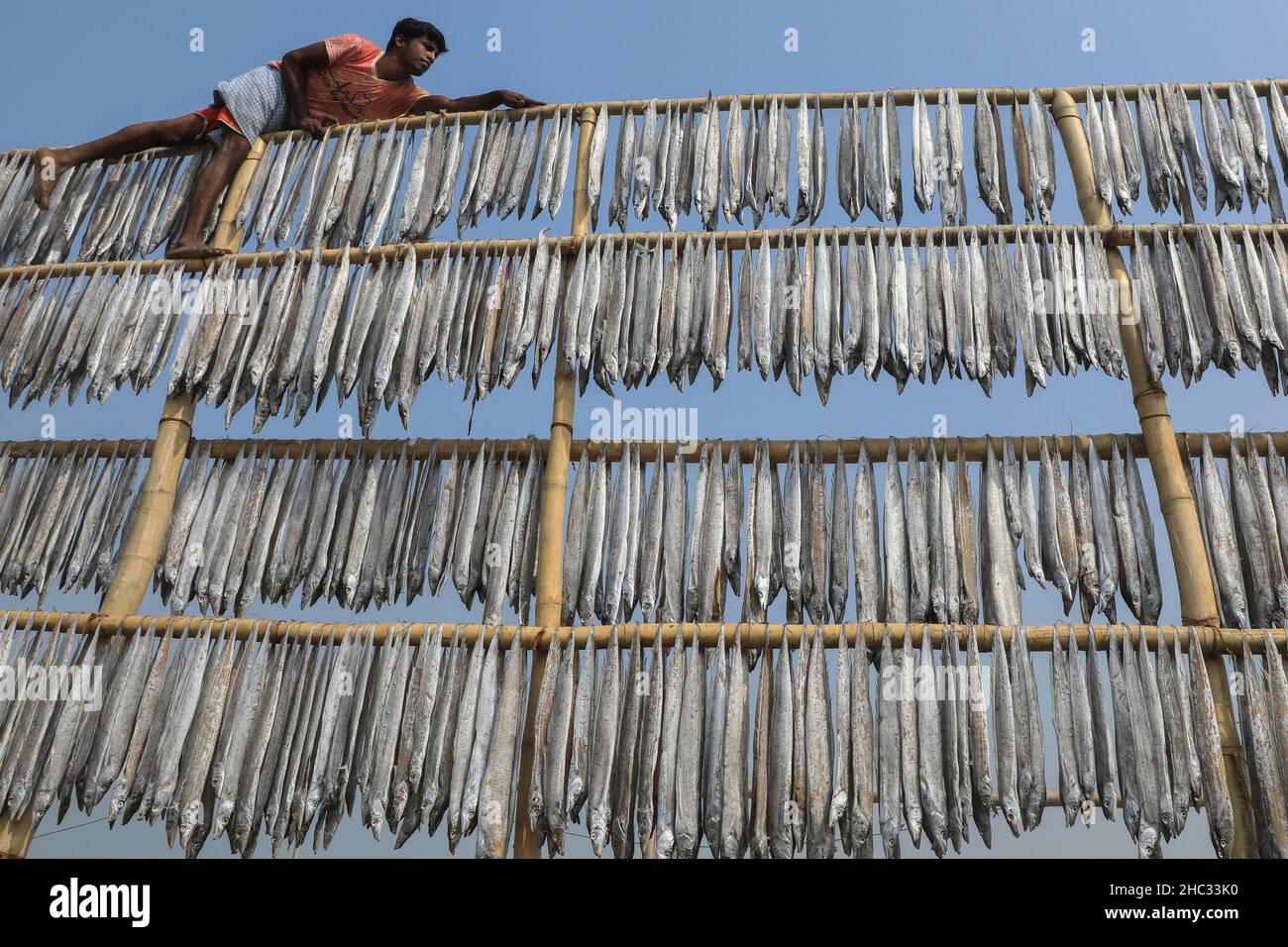 Ein Arbeiter sah in Naziratek Fische trocknen.Obwohl der Großhandelsmarkt sein Geschäftspotenzial bewiesen hat, laufen die Vorwürfe weit, dass weibliche Arbeiter oft keine fälligen Löhne erhalten (Foto von MD Manik/SOPA Images/Sipa USA) Quelle: SIPA USA/Alamy Live News Stockfoto