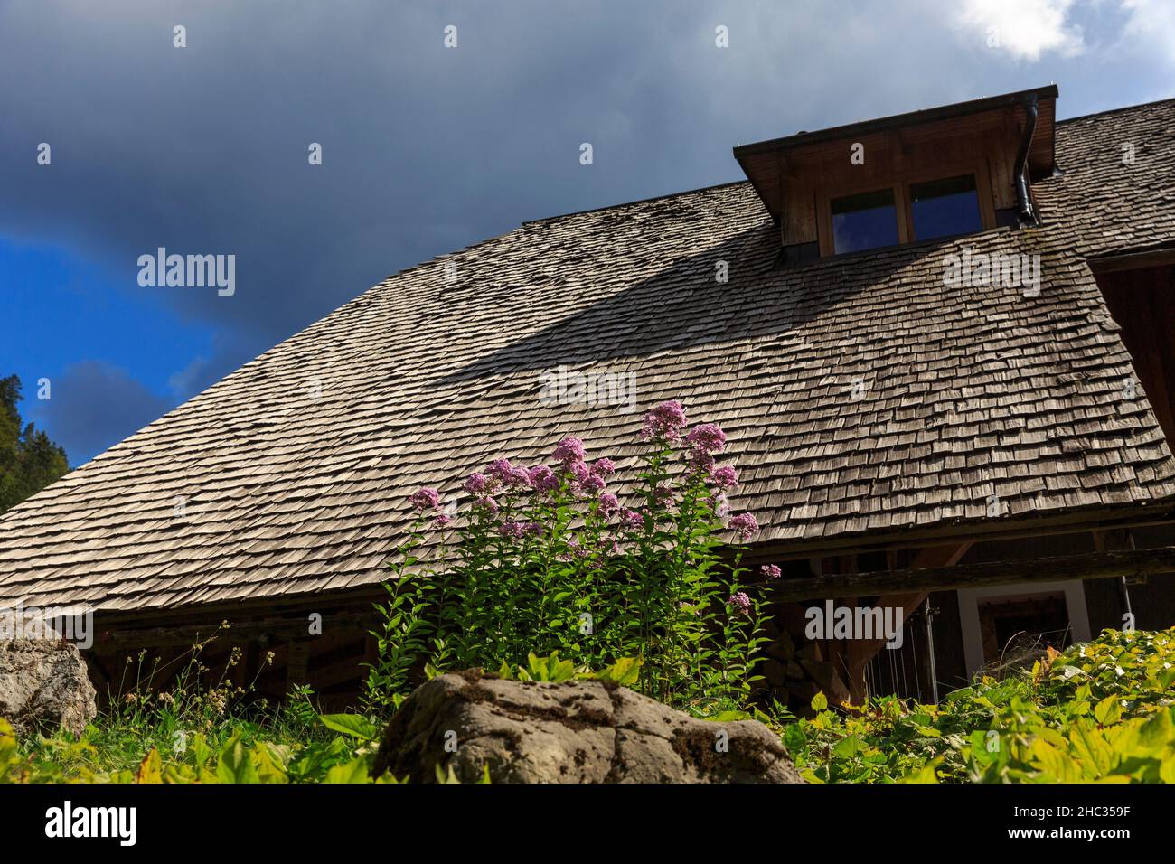 Trational Schindeldach wie in der Vergangenheit, Hut Sinside Triglav Nationalpark, Slowenien Stockfoto