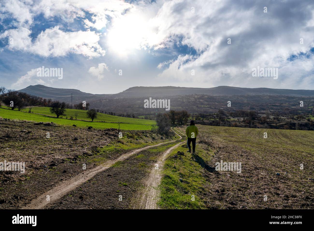 Grüne Felder und kurvenreiche Feldstraße zwischen Feldern im Frühjahr mit Rückansicht des Menschen, der an der Straße steht. Stockfoto