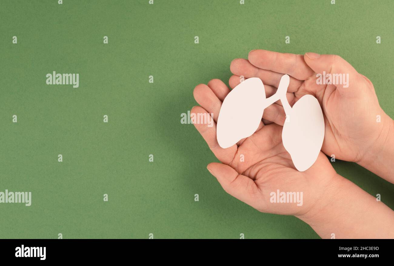 Papierlunge in der Hand halten, Lungenkrebs, Covid-19-Virus, Welttuberculois-Tag, kein Tabacotag, Organspende, Konzept der Luftverschmutzung Stockfoto