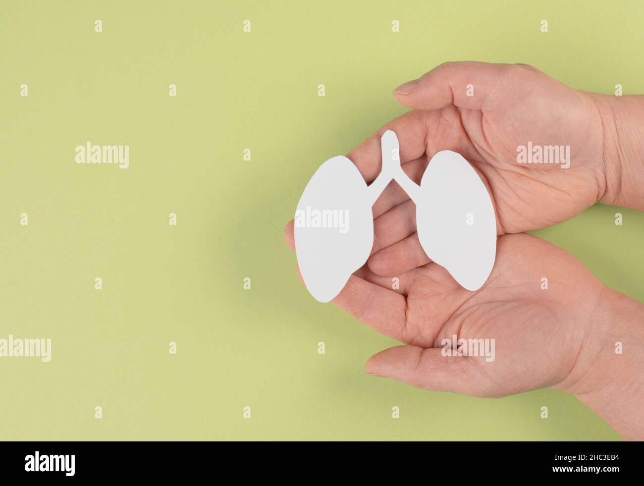 Papierlunge in der Hand halten, Lungenkrebs, Covid-19-Virus, Welttuberculois-Tag, kein Tabacotag, Organspende, Konzept der Luftverschmutzung Stockfoto