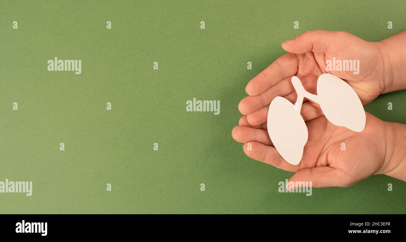Papierlunge in der Hand halten, Lungenkrebs, Covid-19-Virus, Welttuberculois-Tag, kein Tabacotag, Organspende, Konzept der Luftverschmutzung Stockfoto