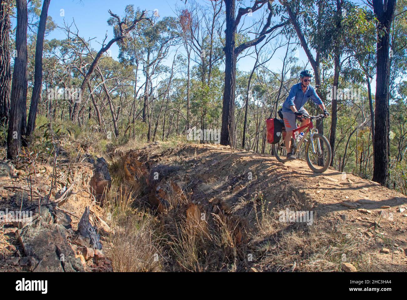 Radfahren neben dem Poverty Gully Wasserrennen entlang des Goldfields Track Stockfoto