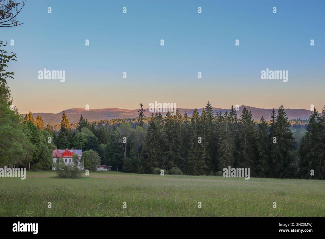 Blick auf den Berg Plockenstein, den höchsten Gipfel des Sumava Nationalparks Stockfoto