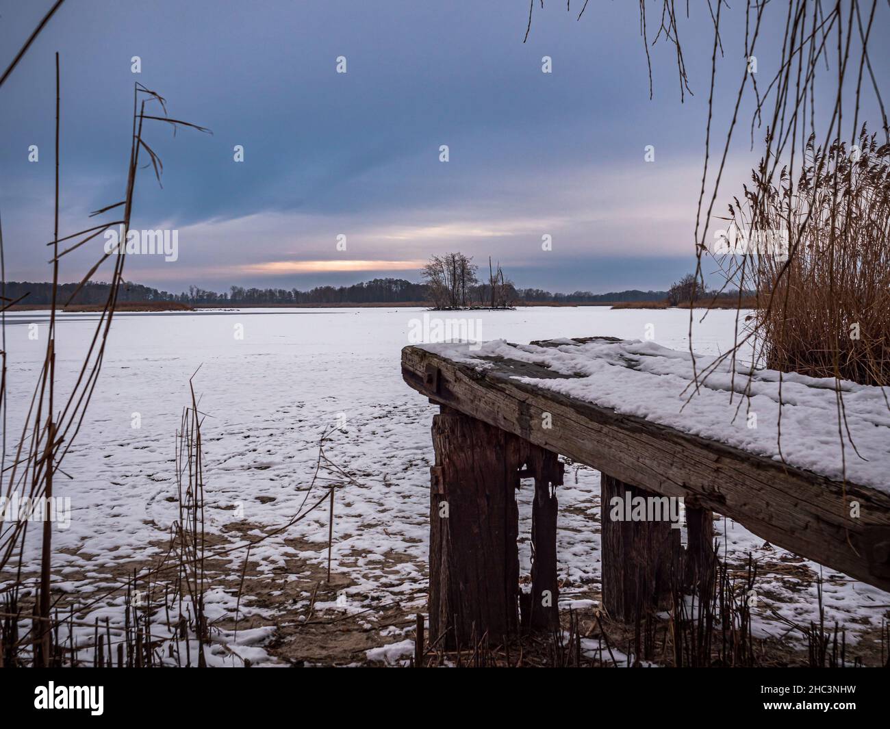 Winterabend am Teich Stockfoto