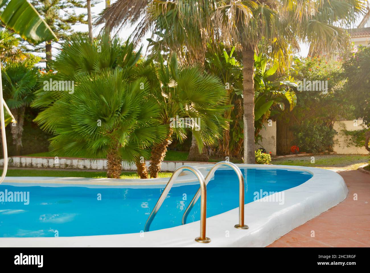 Atemberaubender Blick auf den Pool, der von Bäumen umgeben ist Stockfoto