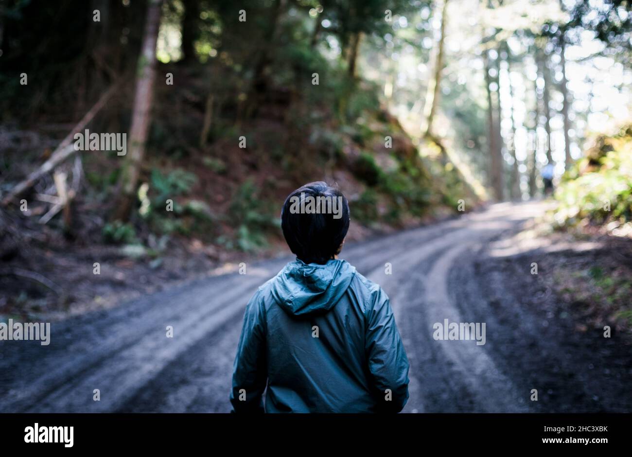 Rückansicht eines Touristen im Wald Stockfoto