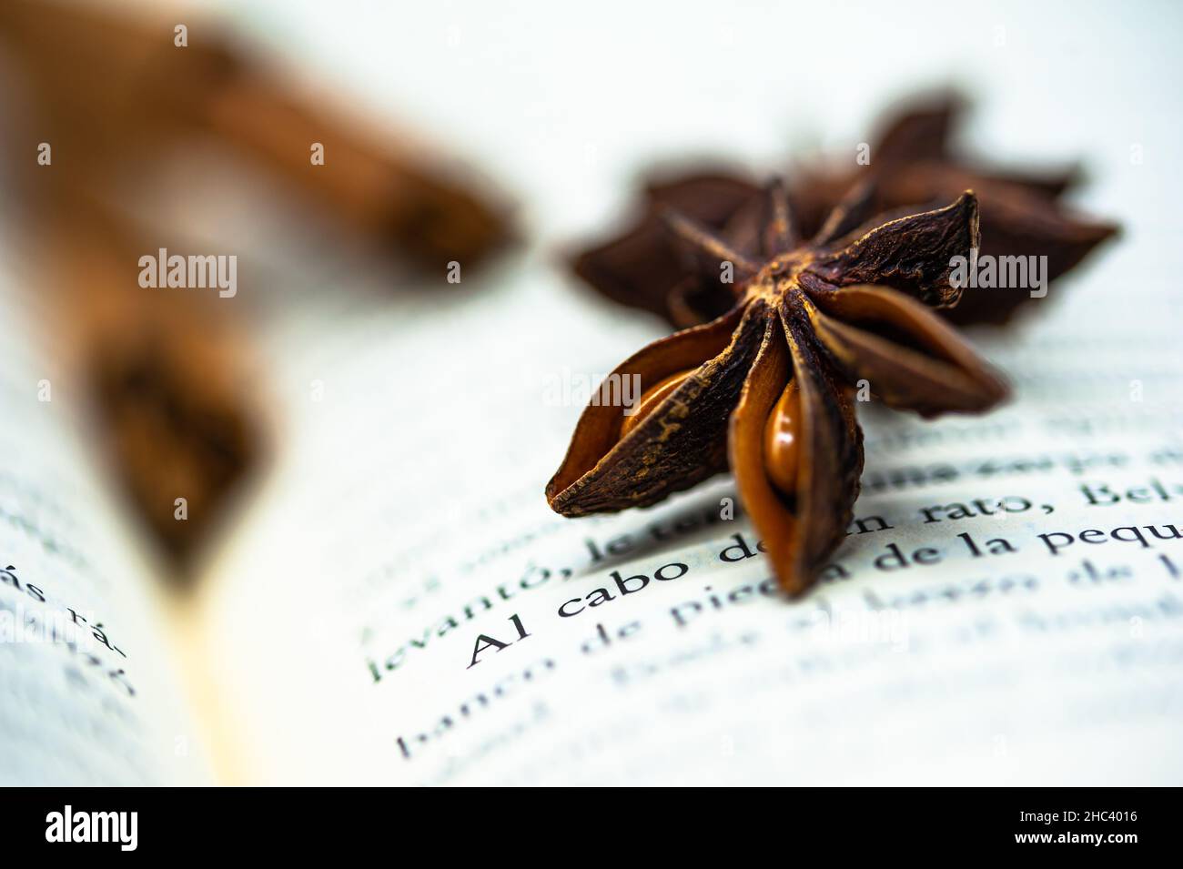 Nahaufnahme von Illicium verum. Der Sternanisgestein auf der Buchseite. Stockfoto