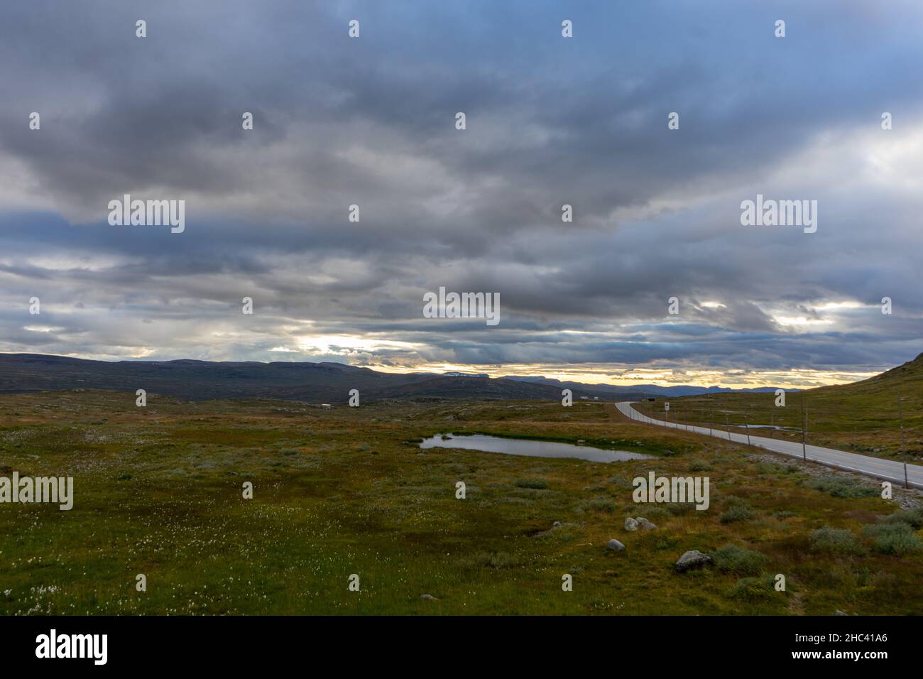 Blick auf die Straße und den kleinen Teich im Feld Stockfoto