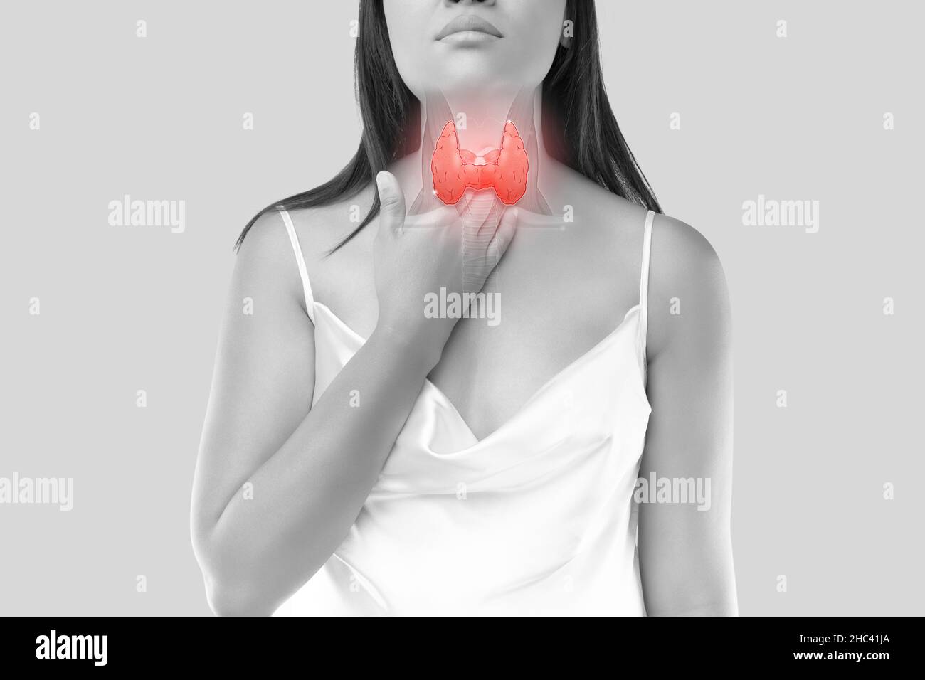 Die Schilddrüse ist auf dem Körper der Frau vor grauem Hintergrund abgebildet. Innere Organe des menschlichen Körpers. Stockfoto