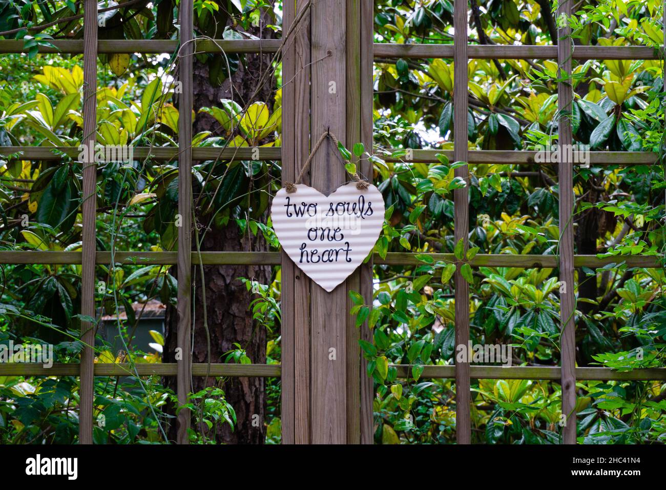 Herzförmiges Stück Karton mit „Two Souls One Heart“-Schriftzug im Freien auf dem Holz Stockfoto