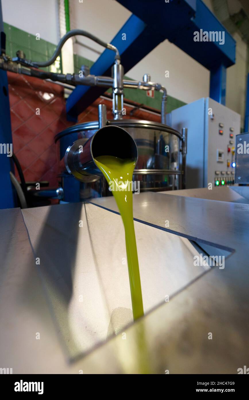 Olivenöl wird in einer industriellen Ölmühle hergestellt Stockfoto