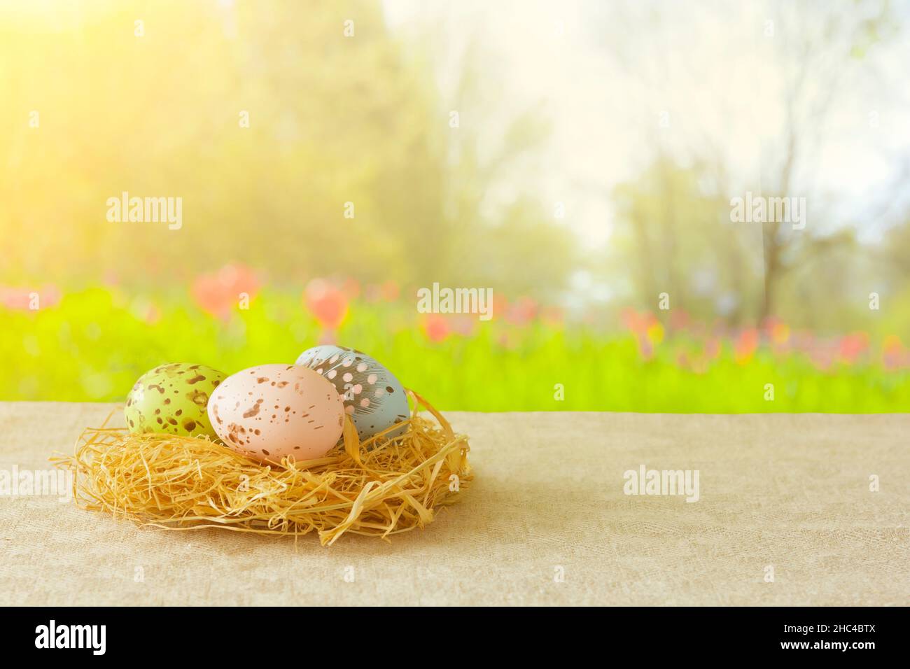Ostereier, die in sanften Farben auf einem Heuernest vor einem frühlingshaften Gartenhintergrund gemalt sind, kopieren Platz für Happy Easter Text. Stockfoto