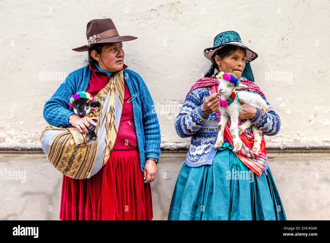 Peruanische Frauen in traditioneller Kleidung mit Baby-Alpakas in Cusco, Heiliges Tal, Peru Stockfoto