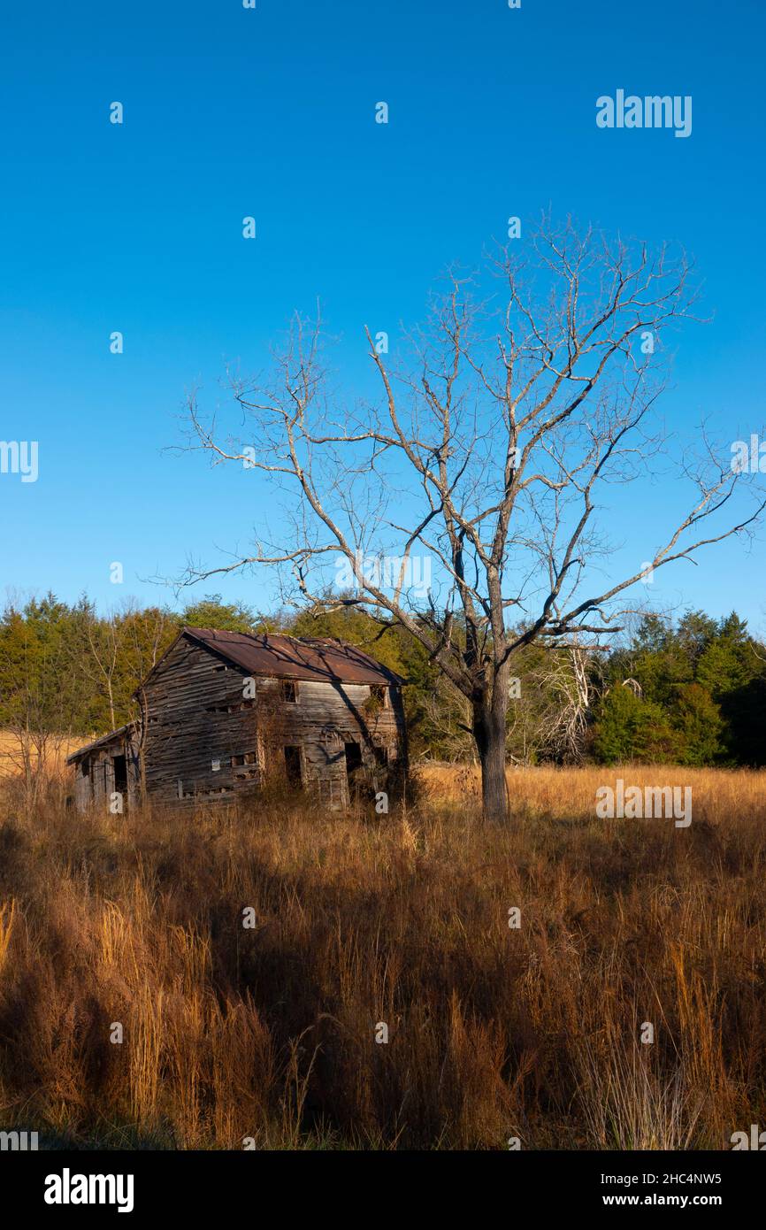 USA Virginia Luray Page County ein verlassenes altes Holzhaus verfiel und fiel auseinander Stockfoto