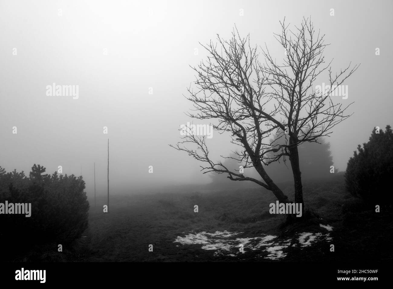 Schöne Aufnahme des Jeseniky-Gebirges in Tschechien in Graustufen Stockfoto