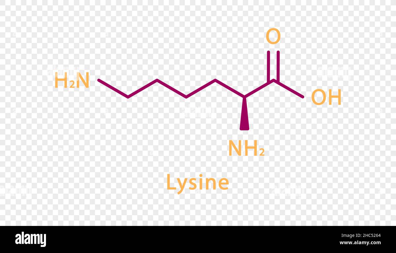 Chemische Formel für Lysin. Lysin strukturelle chemische Formel isoliert auf transparentem Hintergrund. Stock Vektor