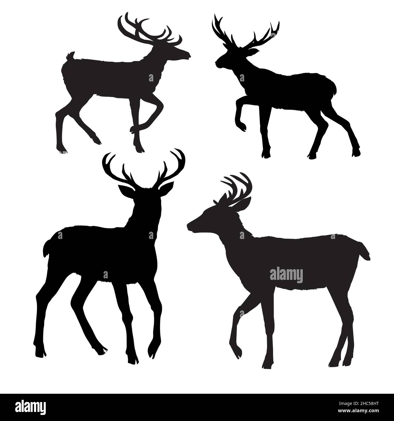 Hirsch Silhouette, Vektor, Illustration, Tier, schwarz, Natur Stock Vektor