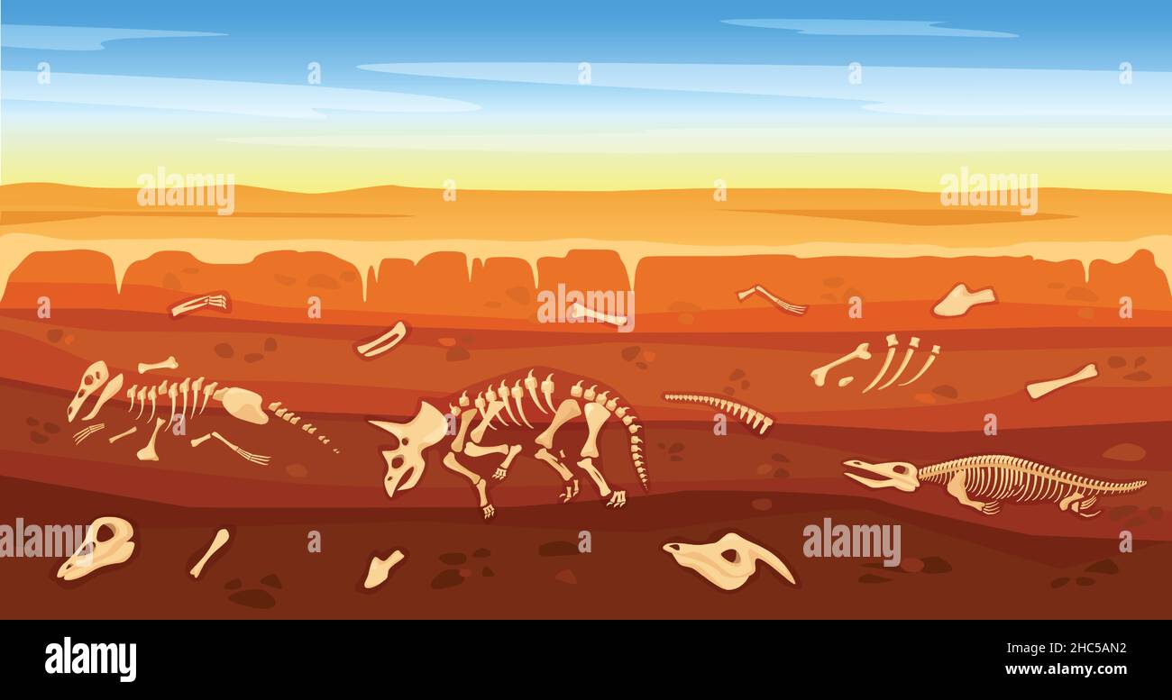 Cartoon Dinosaurier Fossilien in Boden, vergraben Dinosaurier Skelett. Unterirdischer Bodenquerschnitt mit prähistorischen Skeletten Vektorgrafik. Prähisto Stock Vektor