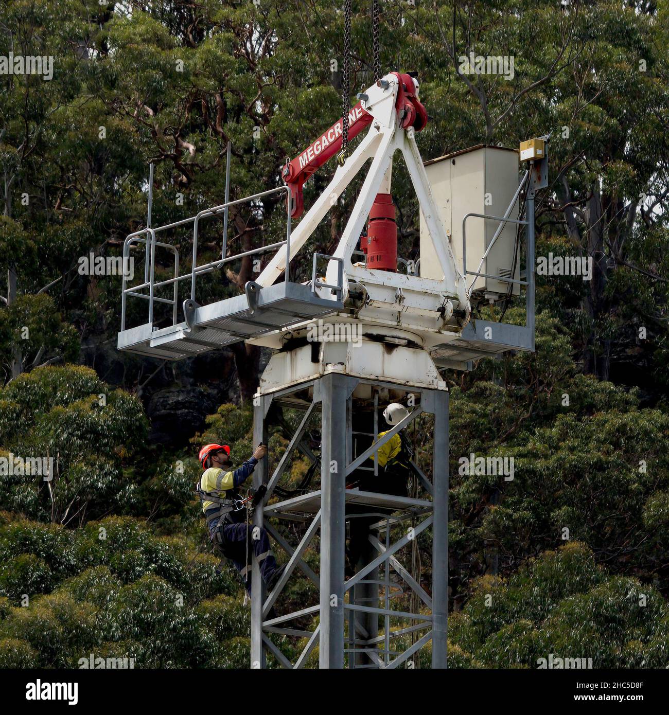 10:36 Uhr 7. Dezember 2021: Gosford, NSW, Australien. Arbeiter, die den Turmdrehkrane vor Ort demontieren (den Drehtisch entfernen), um 56 Uhr auf dem Sozialwohnungsgelände Stockfoto